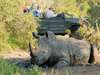 Kings Camp Private Game Reserve - Game Drive 2